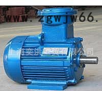 YB3系列高效节能防爆电机 CT4图3