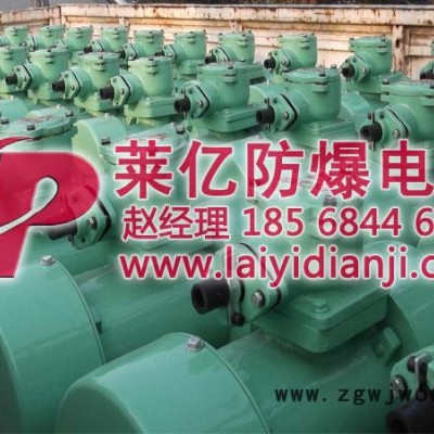 供应莱亿 莱普YBZU防爆振动电机