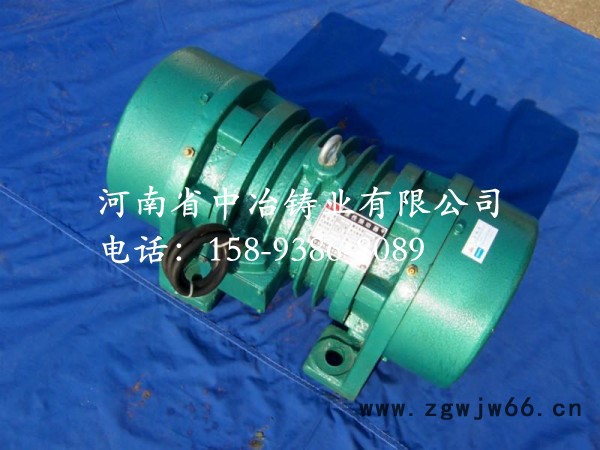 振动电机 振动筛专用电机 高效电动机 型号齐全图2