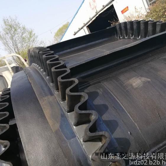 大倾角挡边输送机防爆电机 港口专用图2