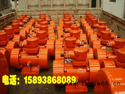 供应共威BZD-16-4防爆电机图2