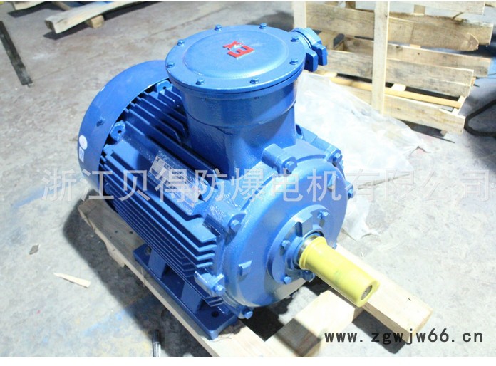 供应贝得异步电动机、防爆电机，图2