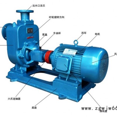 环保排污泵 ZW自吸式无堵塞排污泵 环保污水泵 ZWP不锈钢材质 ZWB防爆电机