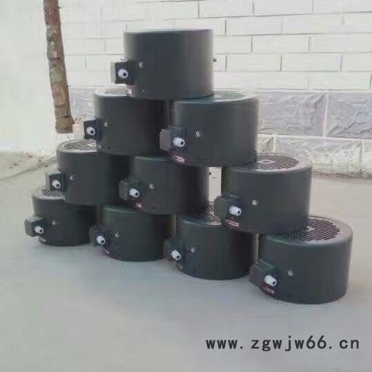 防爆变频电机(防爆电机）YBPT2-132S2-2 7.5kW图2