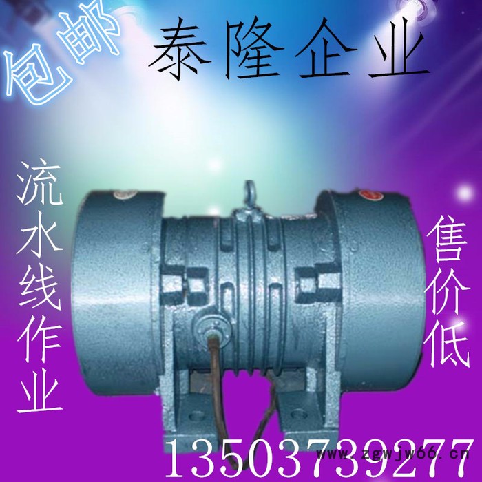 供应泰隆振动电机厂家图2