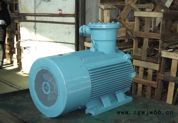 厂价**防爆电机 振动小 寿命长