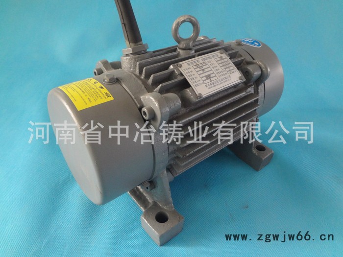 0.4KW振动电机TZD21-2C 振动马达 TZD系列电机图3