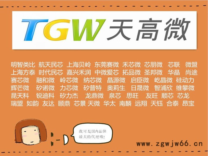 A3988JP-T/MS3988/HR3988 1.2A四路DMOS全桥步进电机驱动 圣邦微图2