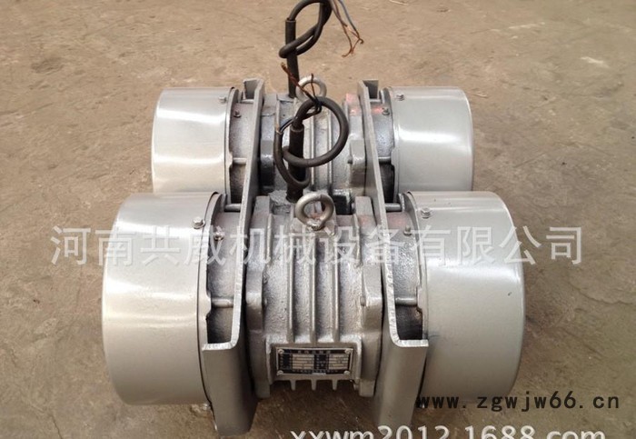 新乡振动直销直线自振源双胞胎振动电机图2