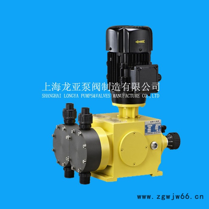 生产隔膜计量泵J-XM型,配防爆电机图3