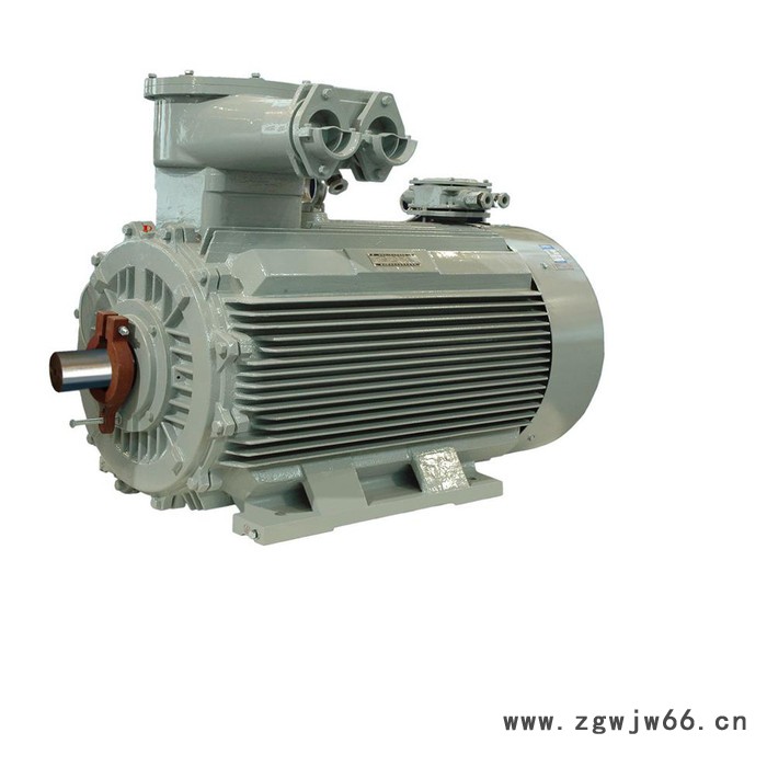 卧龙旗下南阳防爆电机4极YBX3系列高效率低压隔爆三相异步电动机图2