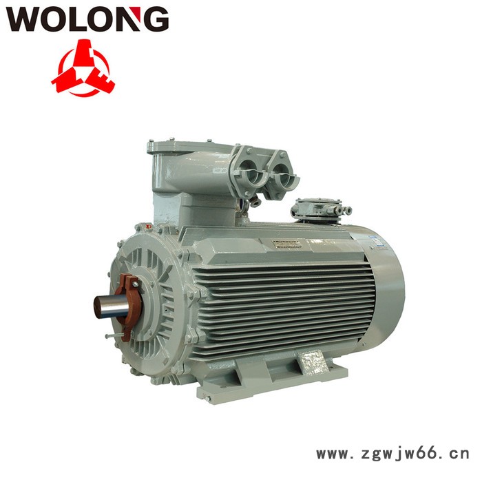卧龙旗下南阳防爆电机4极YBX3系列高效率低压隔爆三相异步电动机图3
