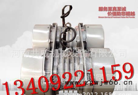 直销WHZY系列直线自振源|双胞胎振动电机图2