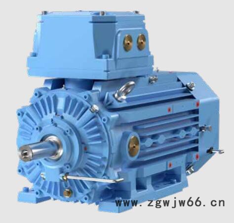 ABBM3JP节能防爆电机图1