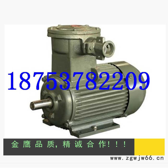 YB2系列防爆电机 **图3