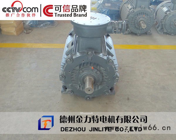 供应金力特YB3防爆电机图3