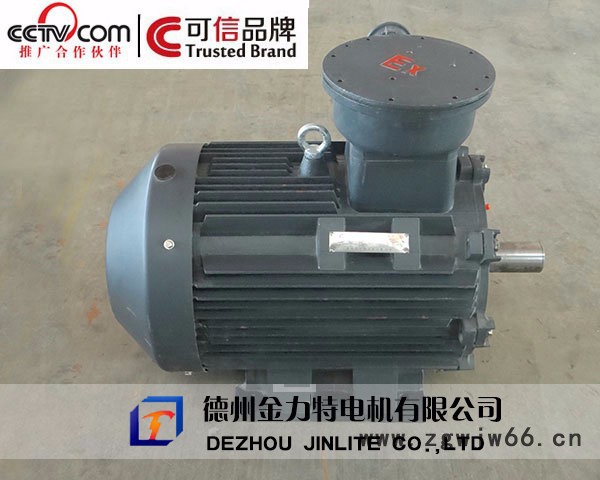 供应金力特YB3防爆电机图4