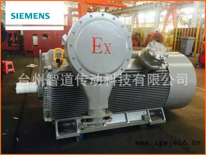 Siemens/西门子防爆电机1MT0 6-200KW|西门图1