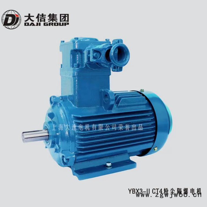 YBX3-11 CT4粉尘防爆电机   现货销售  力超机电图3