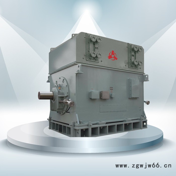 CNE/南阳防爆/南阳防爆 CNE/南阳防爆  高压电机 卧龙电气H355～1000图2