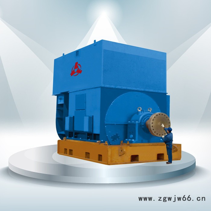 CNE/南阳防爆/南阳防爆 CNE/南阳防爆  高压电机 卧龙电气H355～1000图1