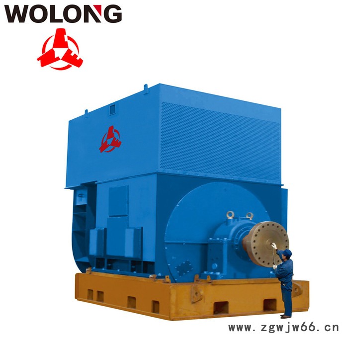 CNE/南阳防爆/南阳防爆 CNE/南阳防爆  高压电机 卧龙电气H355～1000图4