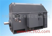 供应YKK450-4     6000V    高压电机图2