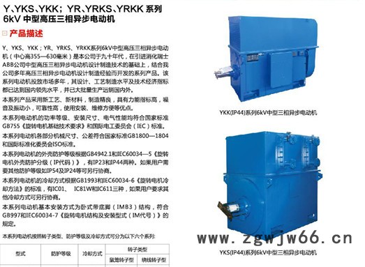 供应ATBYKK6KV 10KV中大型高压电机图2
