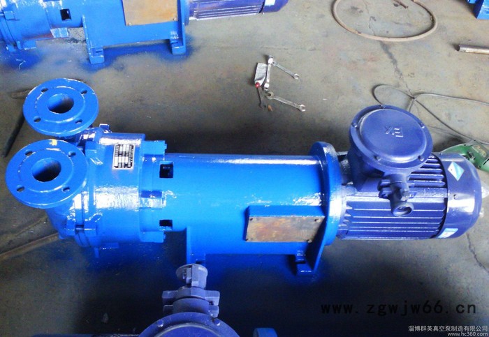 水环式真空泵2BV6-110（铸铁材质，防爆电机）图2