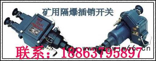 供应济宁德海BGK隔爆插销开关，防爆电机插销开关