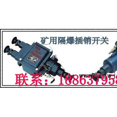 供应济宁德海BGK隔爆插销开关，防爆电机插销开关