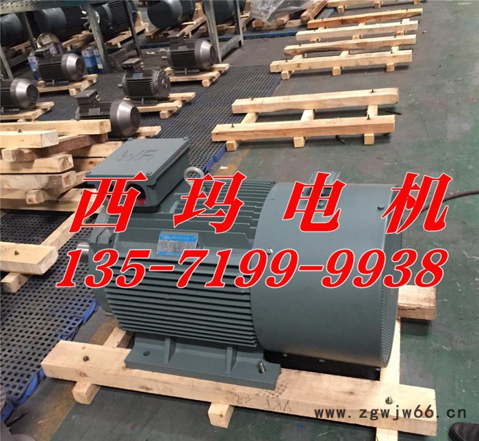 YBX2-4503-2 630kw 6000V 西玛高压电机图3