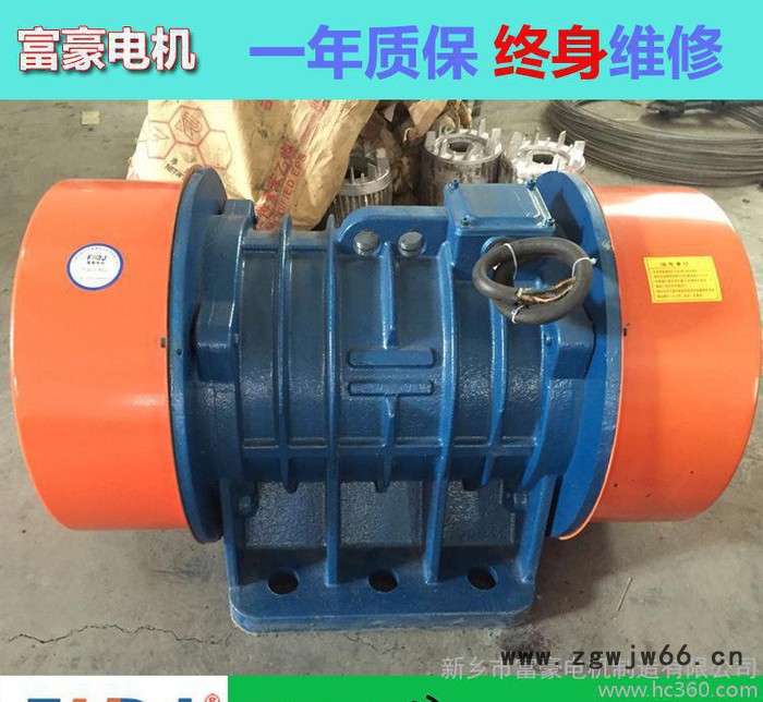 **VB-100756-W振动电机 矿山设备洗煤筛分振动专用图2