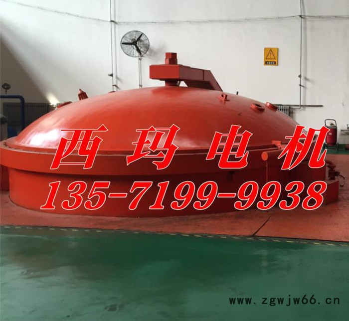 YTM5603-6 1000KW 6KV中型高压电机 西安西玛电机厂出品图3