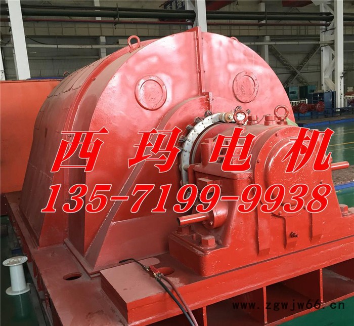 西安泰富西玛电机YR系列YR4503-4 710KW6KV高压电机图2