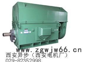 破碎机高压电机YKS5604-8 900KW 西安泰富西玛 专业生产电机图3