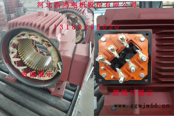 河北西玛电机高压电机生产厂家图3