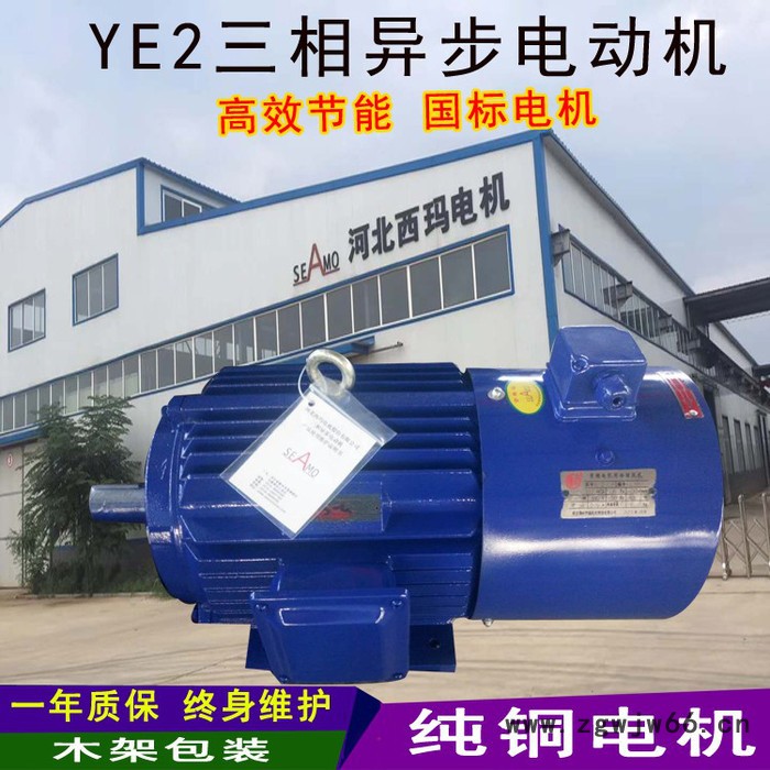 河北西玛电机高压电机生产厂家图6