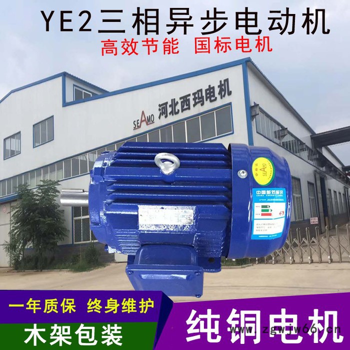 河北西玛电机高压电机生产厂家图5