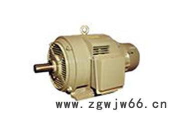 西北专业电机生产YR系列YR5003-4 1120KW 6KV高压电机图1