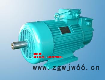YX3电机【现货】六安电机|华力电机|六安电机|南阳防爆电机图2