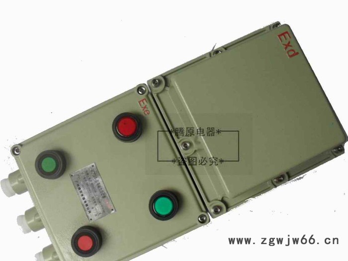 款BQC51系列  20A防爆磁力启动装置 防爆电机启图2