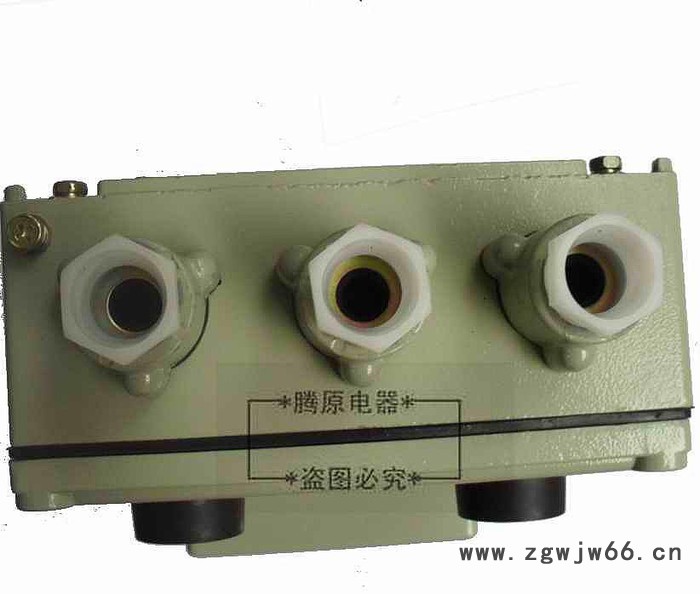 款BQC51系列  20A防爆磁力启动装置 防爆电机启图3