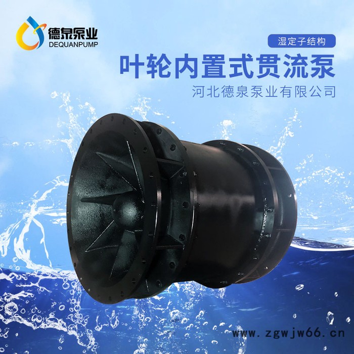 高压电机|大流量低扬程|QGWZ全贯流潜水电泵|价格参数|德泉泵业图5