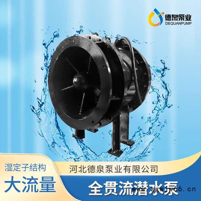 高压电机|大流量低扬程|QGWZ全贯流潜水电泵|价格参数|德泉泵业图2