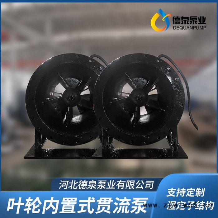 高压电机|大流量低扬程|QGWZ全贯流潜水电泵|价格参数|德泉泵业图3