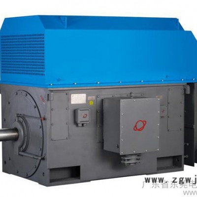 10KV高压电机/机械设备用电动机/800KW中型高压电机