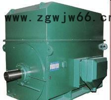 高压电机YKS系列YKS5602-2 2000KW 6KV高压电动机图2