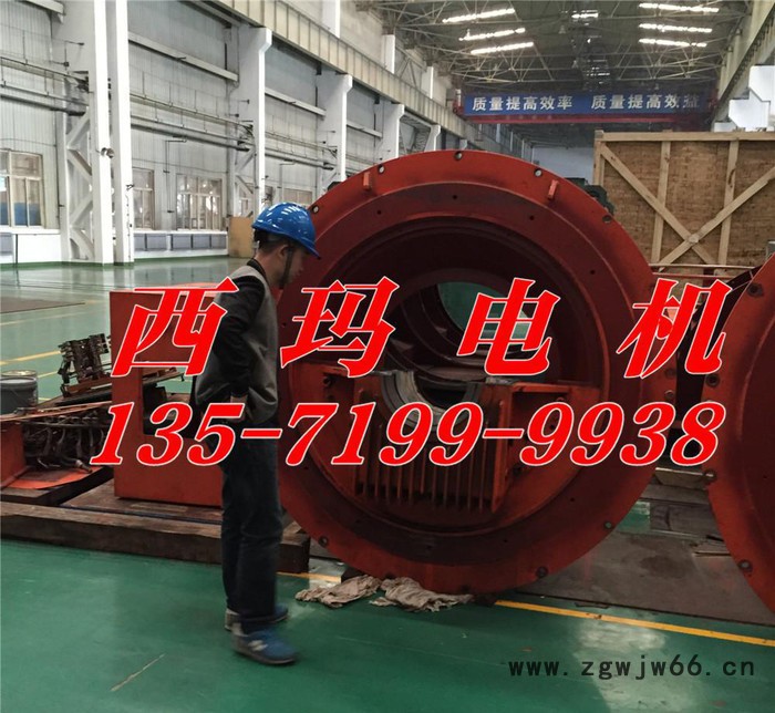 YX450-6/560KW高效高压电机 泰富西玛电机图3