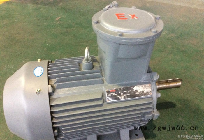 直销  江苏高科 三相异步防爆电机YB3-132S1-8图2